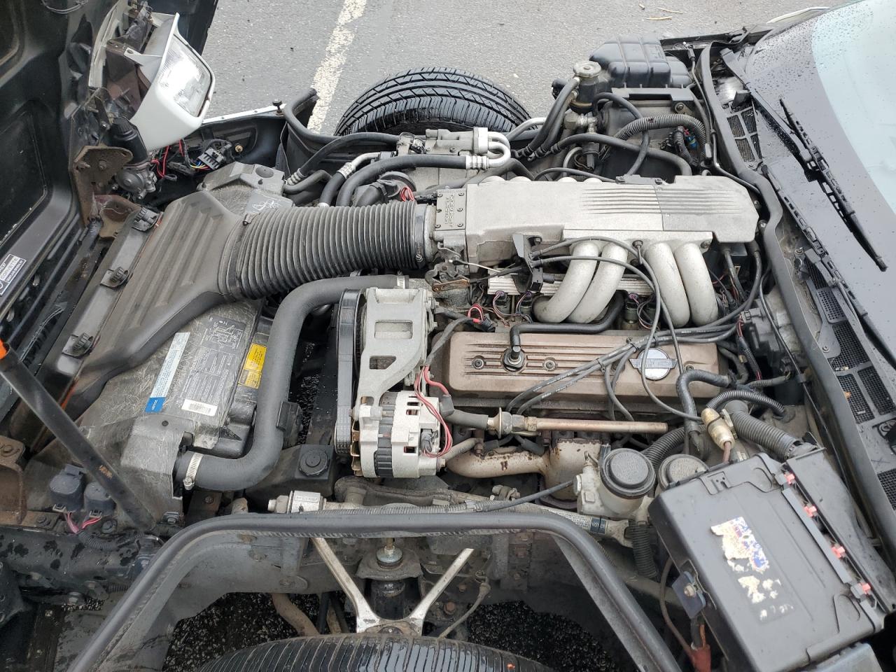 1991 Chevrolet Corvette VIN: 1G1YY2385M5105448 Lot: 90930605