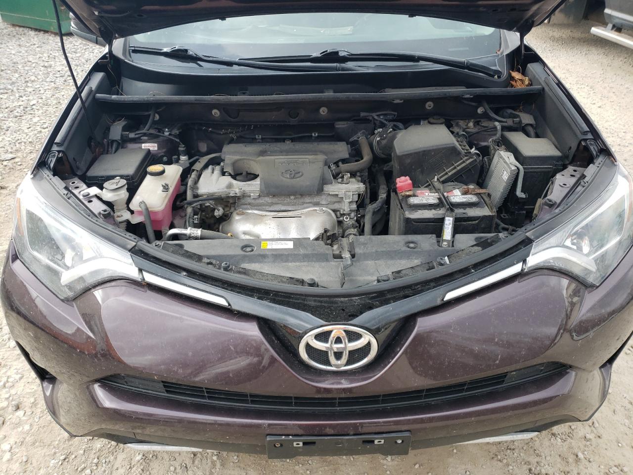 2016 Toyota Rav4 Xle VIN: 2T3RFREVXGW505774 Lot: 90611115