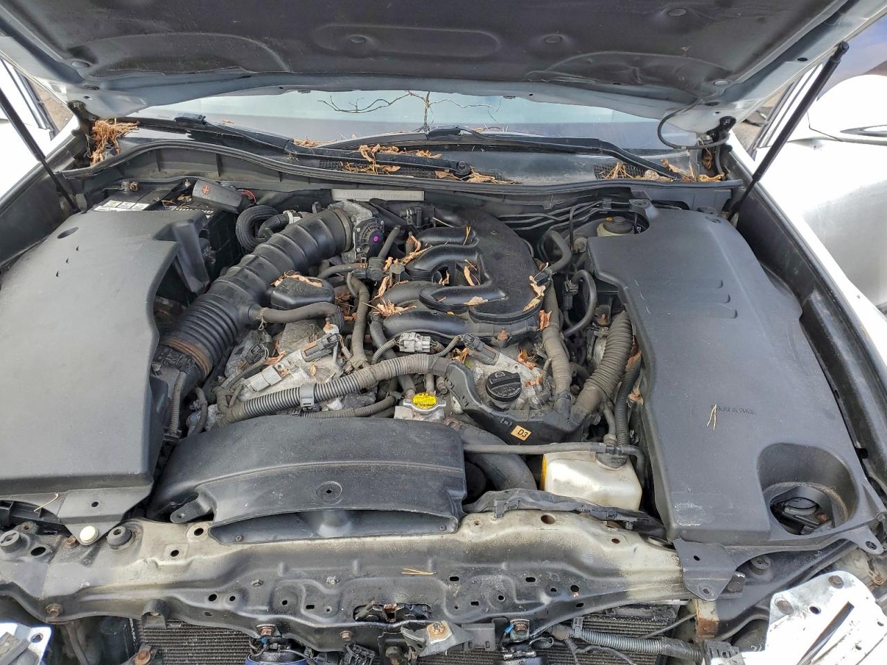 2008 Lexus Gs 350 VIN: JTHBE96S780029044 Lot: 89467835