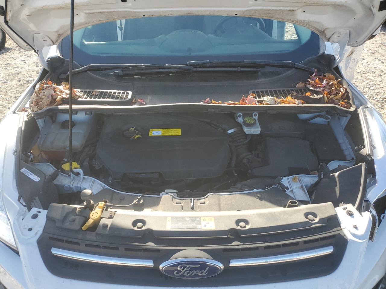 2016 Ford Escape Se VIN: 1FMCU9GXXGUC56010 Lot: 92056825