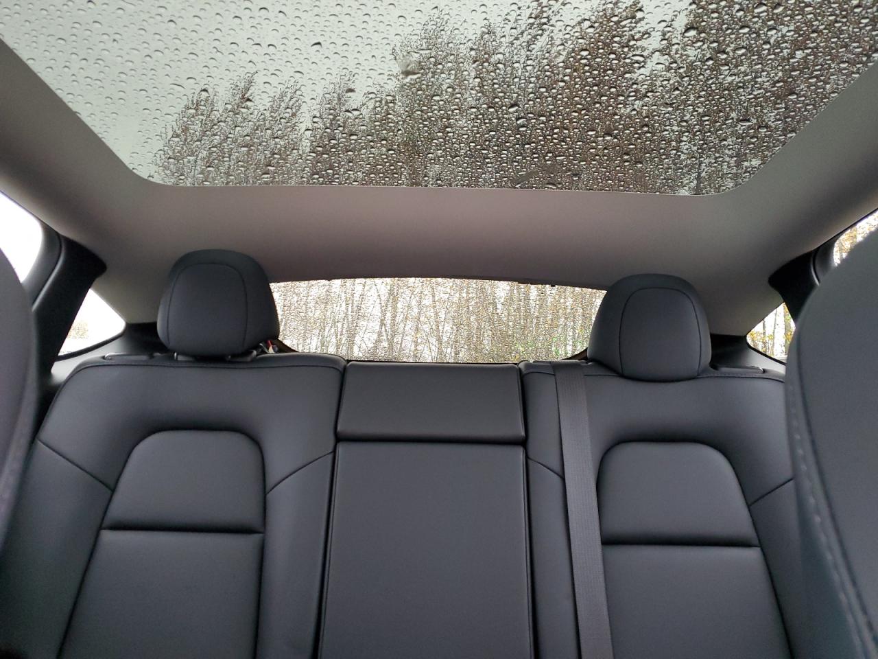 2022 Tesla Model Y VIN: 7SAYGAEE4NF560429 Lot: 91624855