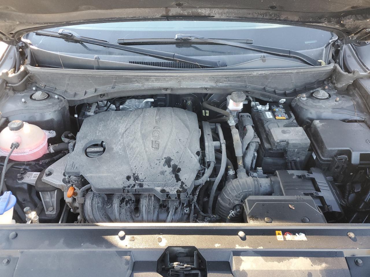 2022 Hyundai Santa Cruz Sel VIN: 5NTJCDAE4NH014489 Lot: 92883725