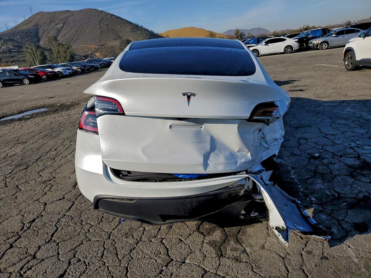 2025 Tesla Model Y VIN: 7SAYGDED5SF276022 Lot: 93822435