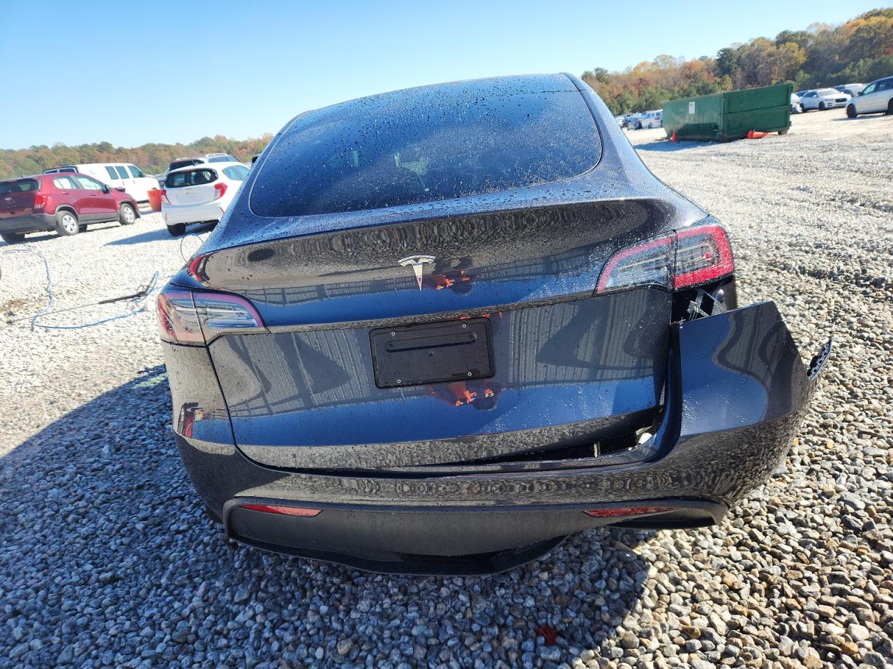 2024 Tesla Model Y VIN: 7SAYGDED8RA307366 Lot: 92084915