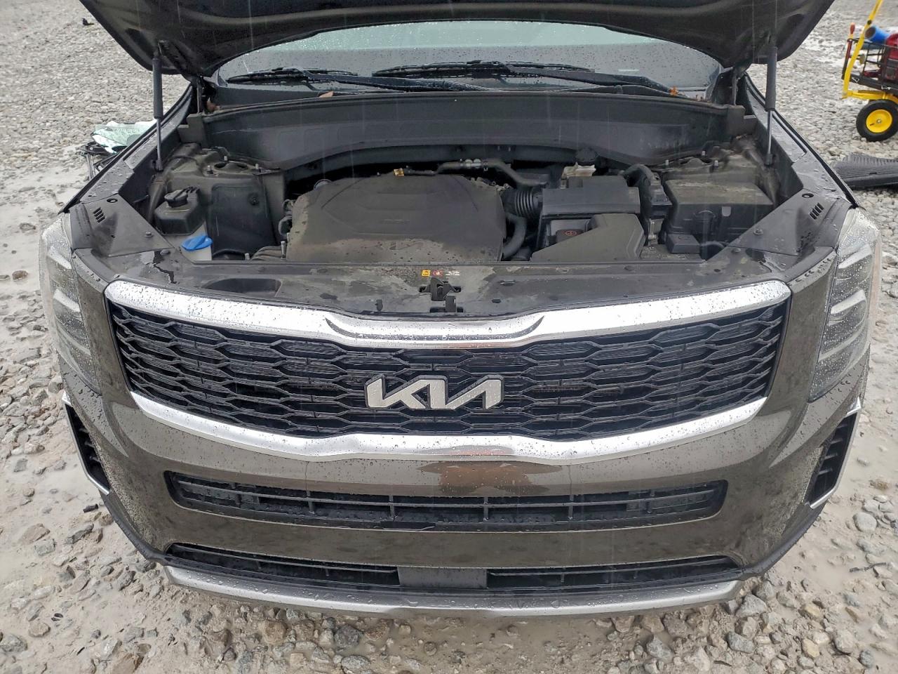 2022 Kia Telluride Ex VIN: 5XYP3DHC3NG219516 Lot: 94256755