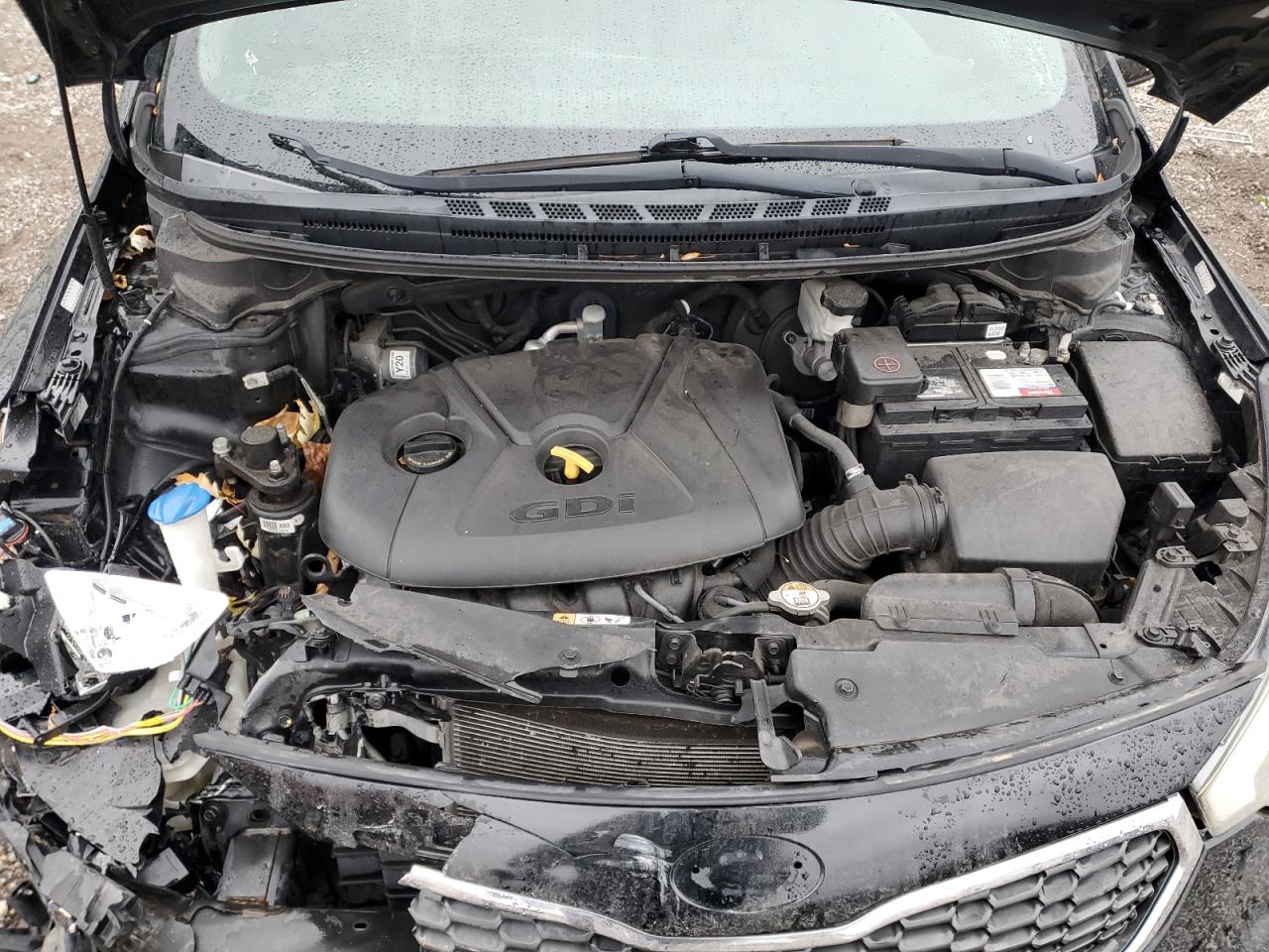 2016 Kia Forte Lx VIN: KNAFK5A82G5653686 Lot: 92721515