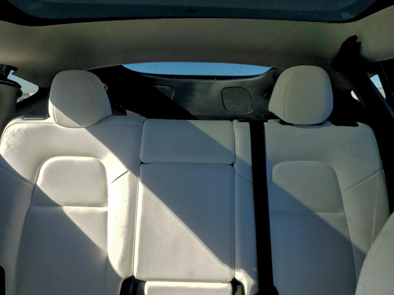 2024 Tesla Model Y VIN: 7SAYGDEE2RF064956 Lot: 94095425