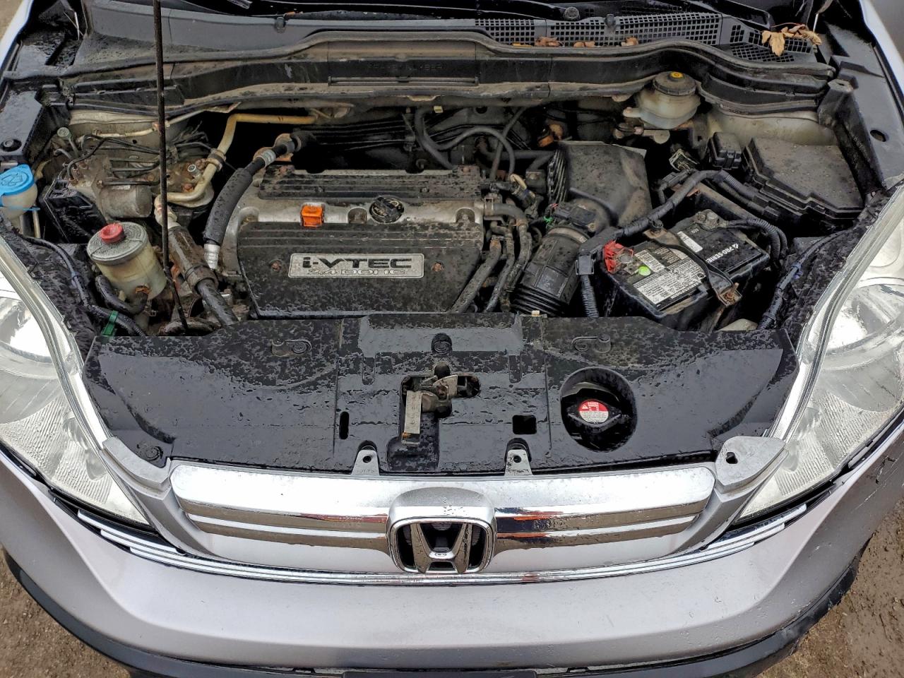 2007 Honda Cr-V Exl VIN: 5J6RE48797L818590 Lot: 93320745