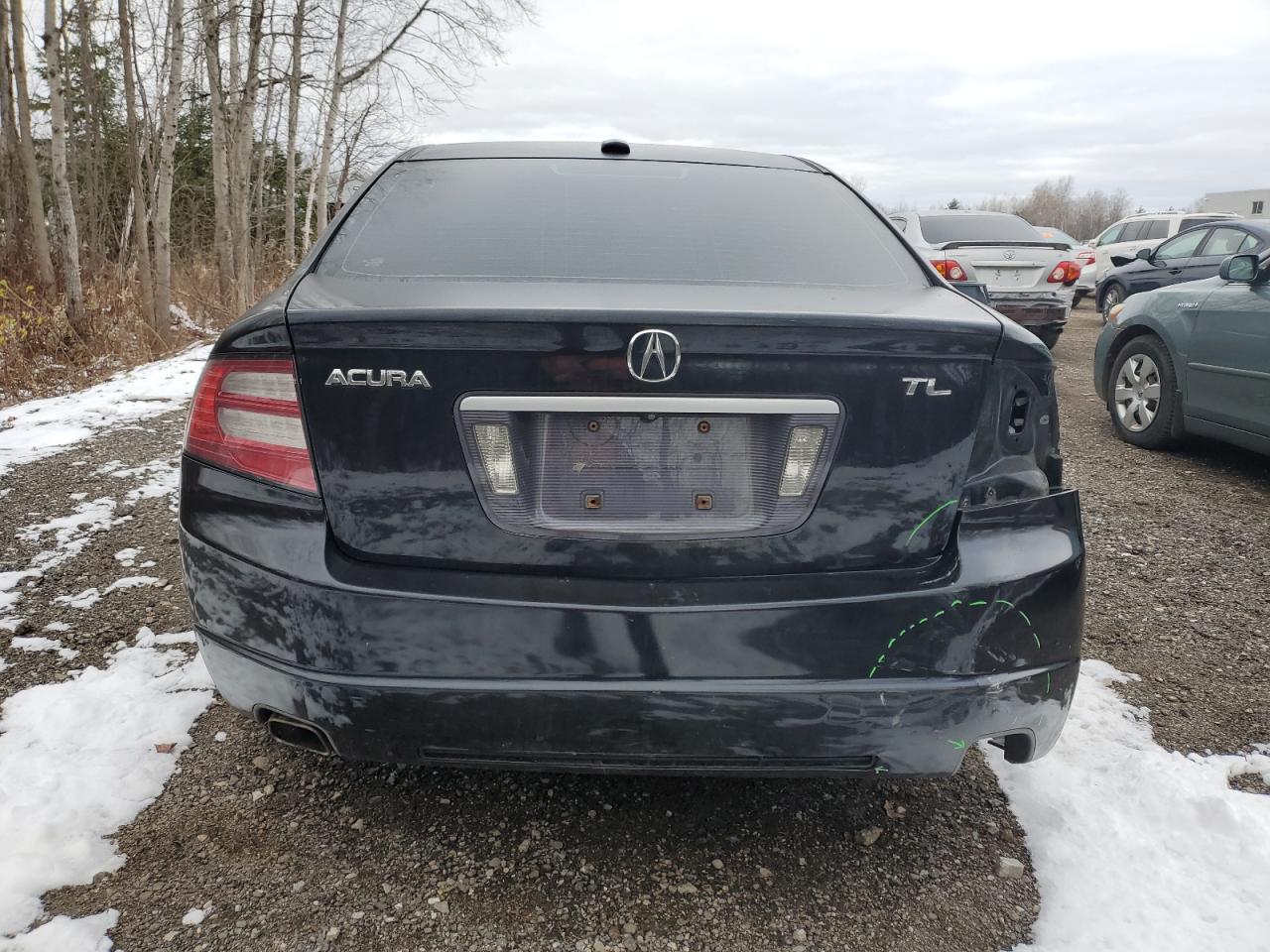 2008 Acura Tl VIN: 19UUA66248A802939 Lot: 92572765
