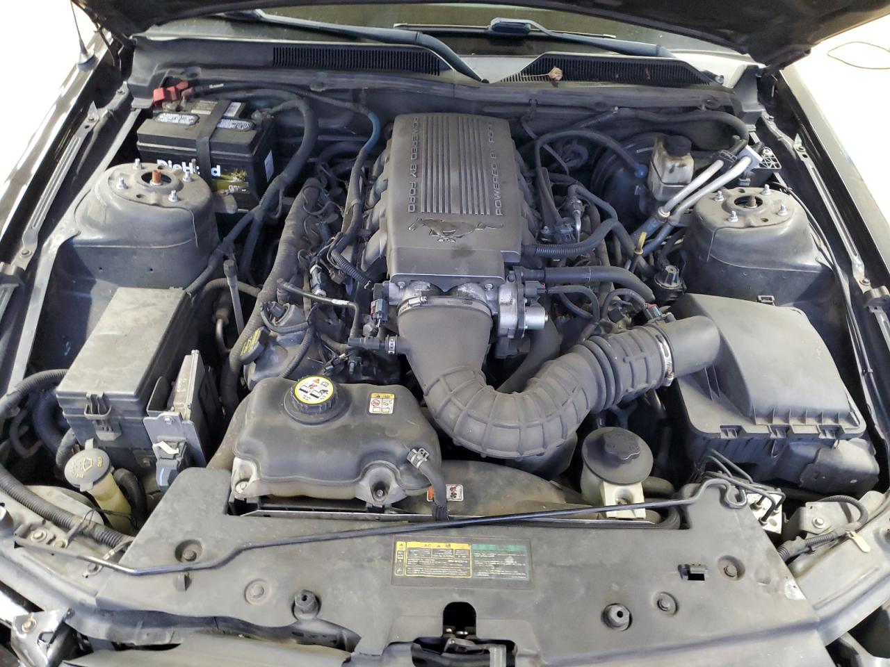 2009 Ford Mustang Gt VIN: 1ZVHT85H295119656 Lot: 91987975