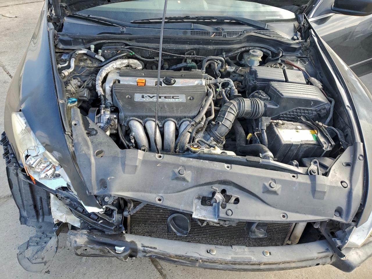 2006 Honda Accord Lx VIN: JHMCM56486C005302 Lot: 94419805