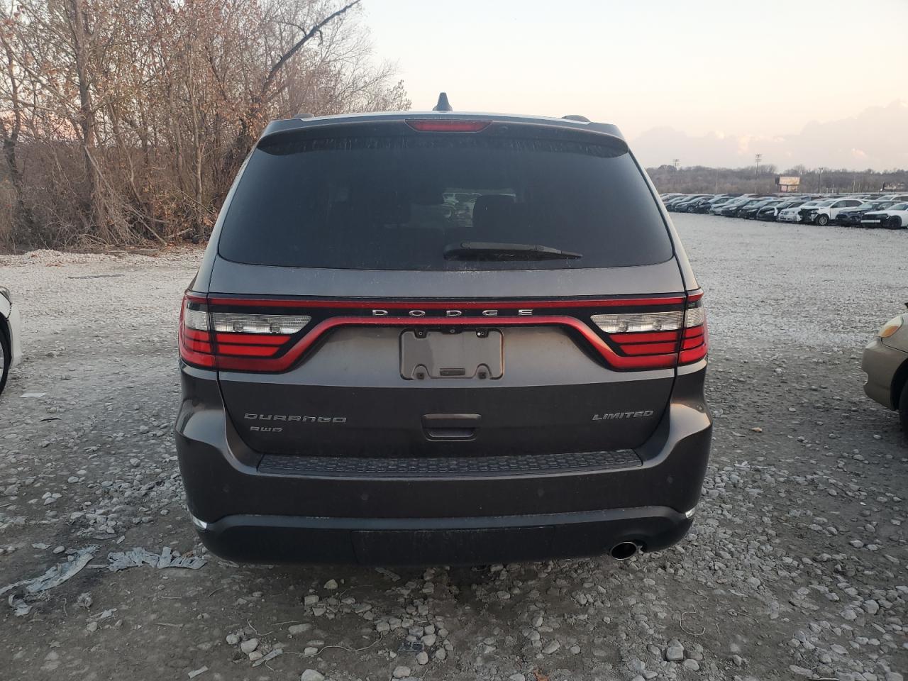 2014 Dodge Durango Limited VIN: 1C4RDJDGXEC507793 Lot: 93102225