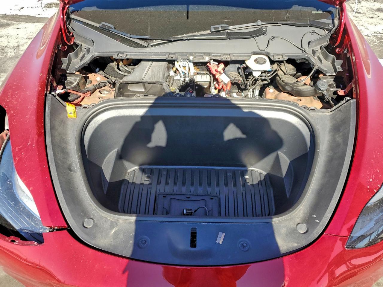 2025 Tesla Model Y VIN: 7SAYGDEF1SF231984 Lot: 94302075