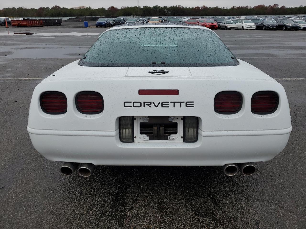 1991 Chevrolet Corvette VIN: 1G1YY2385M5105448 Lot: 90930605