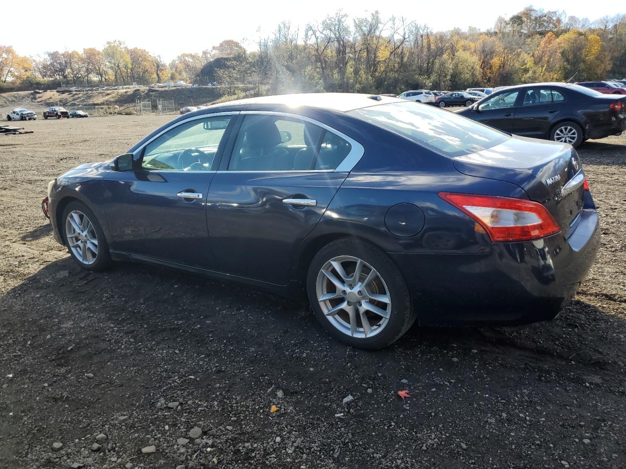 2010 Nissan Maxima S VIN: 1N4AA5AP5AC844860 Lot: 91362925