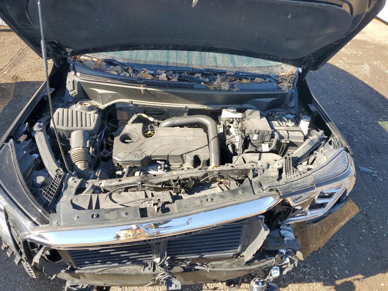 2024 GMC Terrain Slt VIN: 3GKALVEGXRL306514 Lot: 92287375