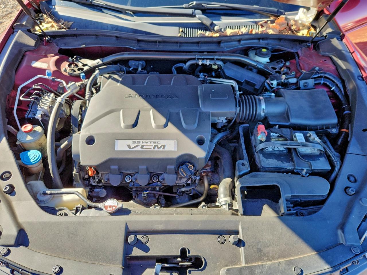 2010 Honda Accord Crosstour Exl VIN: 5J6TF1H50AL011723 Lot: 94238665