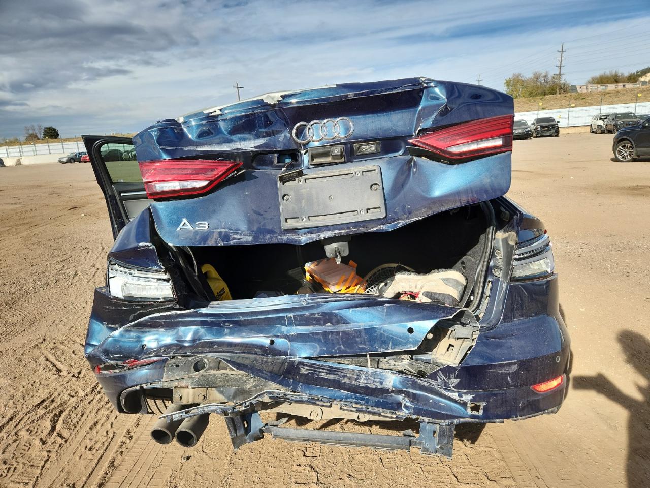 2019 Audi A3 Premium Plus VIN: WAUGUGFF9K1011838 Lot: 91897885