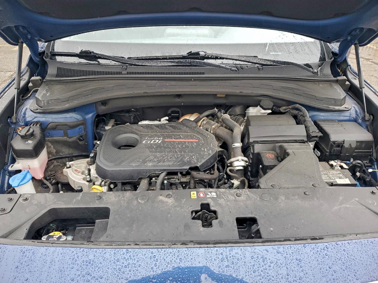 2020 Hyundai Santa Fe Sel VIN: 5NMS3CAA6LH301689 Lot: 94407365