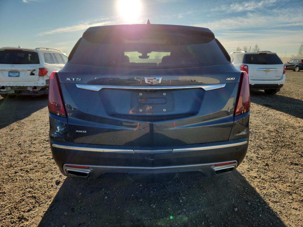 2020 Cadillac Xt5 Platinum Premium Luxury VIN: 1GYKNFRS0LZ117010 Lot: 87222625