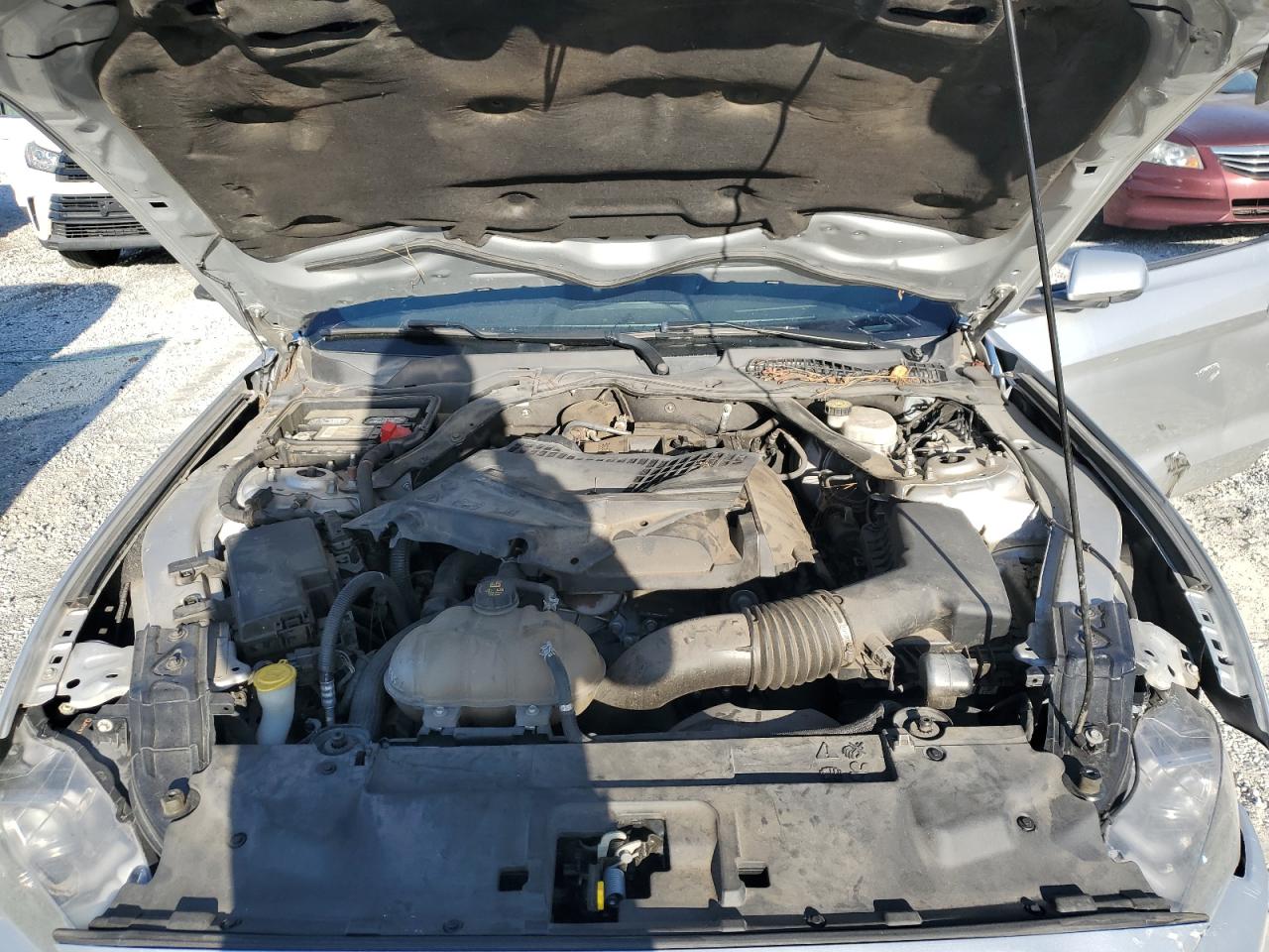 2019 Ford Mustang VIN: 1FATP8UH0K5138334 Lot: 92394395