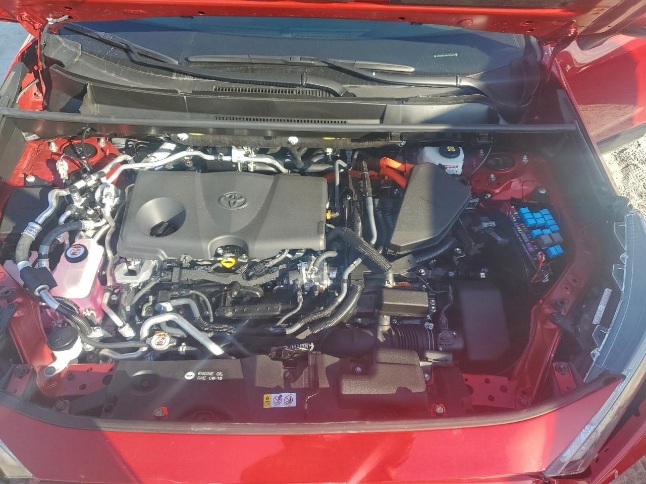 2025 Toyota Rav4 Se VIN: JTMAB3FV7SD267649 Lot: 94236185