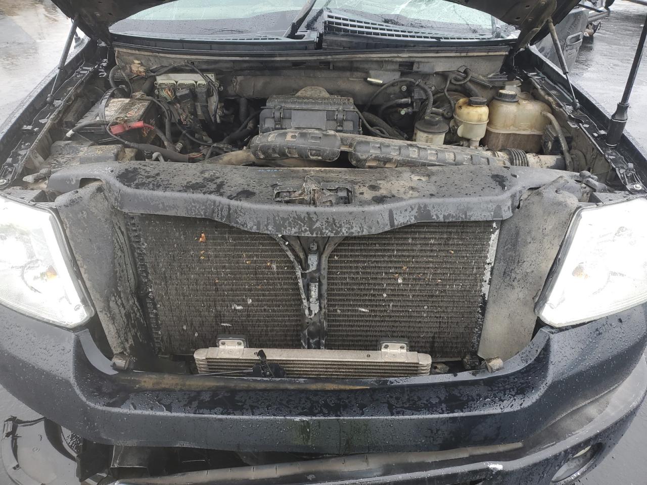 2006 Ford F150 Supercrew VIN: 1FTPW14596KB96686 Lot: 85438205