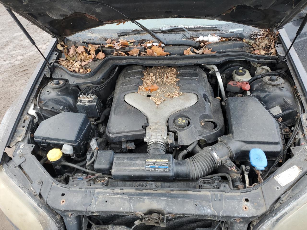 2009 Pontiac G8 VIN: 6G2ER57709L159616 Lot: 92345225