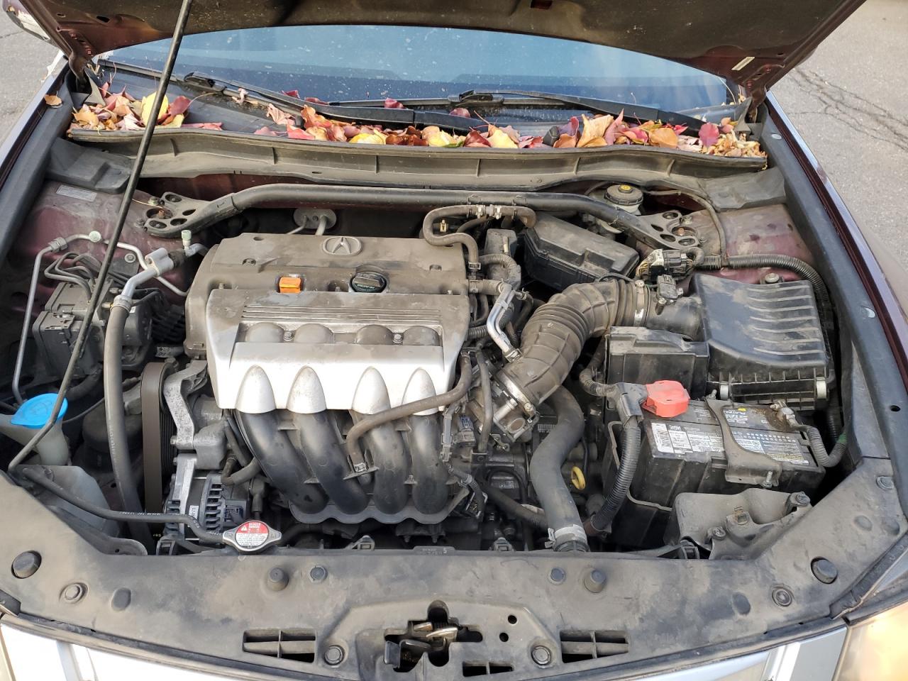 2009 Acura Tsx VIN: JH4CU26629C022617 Lot: 93352895