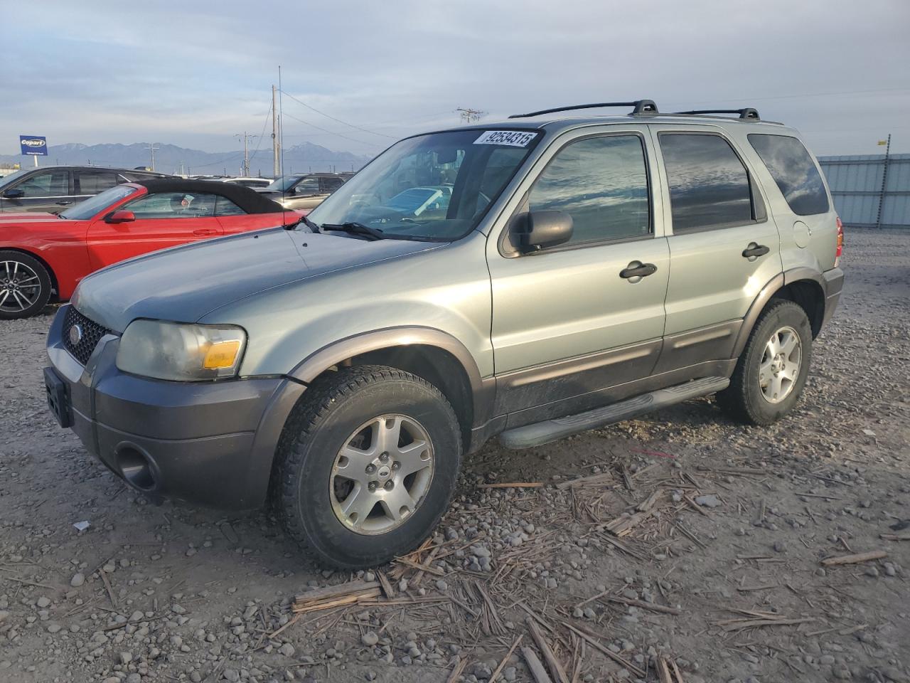 2006 Ford Escape Xlt
