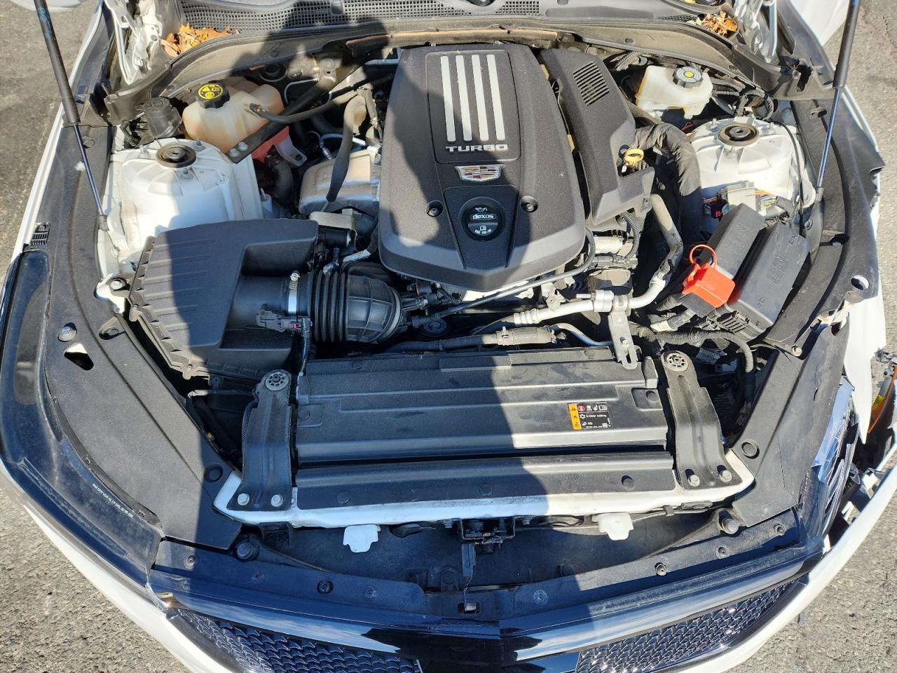 2021 Cadillac Ct4-V VIN: 1G6DH5RL8M0134672 Lot: 93398595