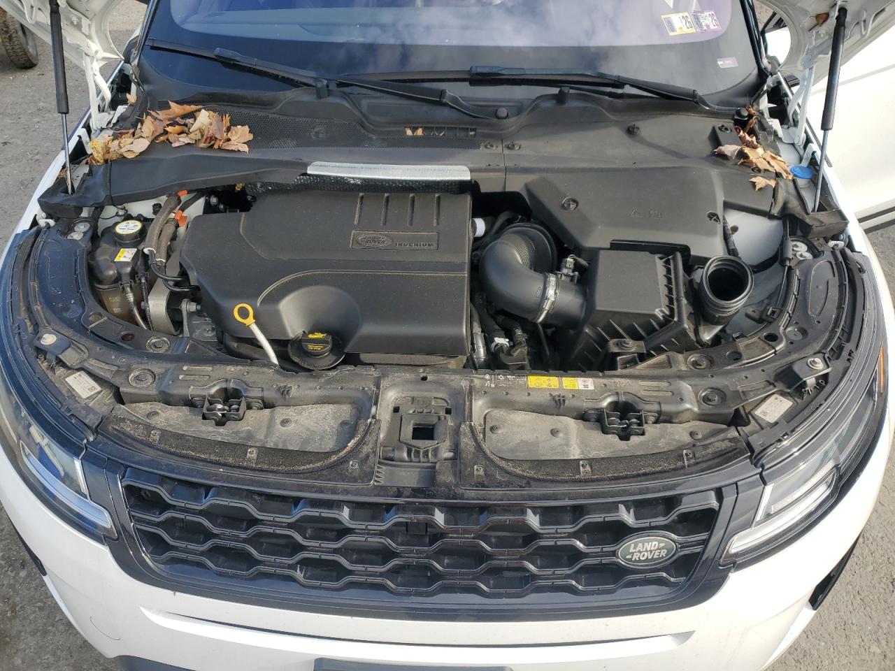 2021 Land Rover Range Rover Evoque S VIN: SALZJ2FX7MH122634 Lot: 93917335