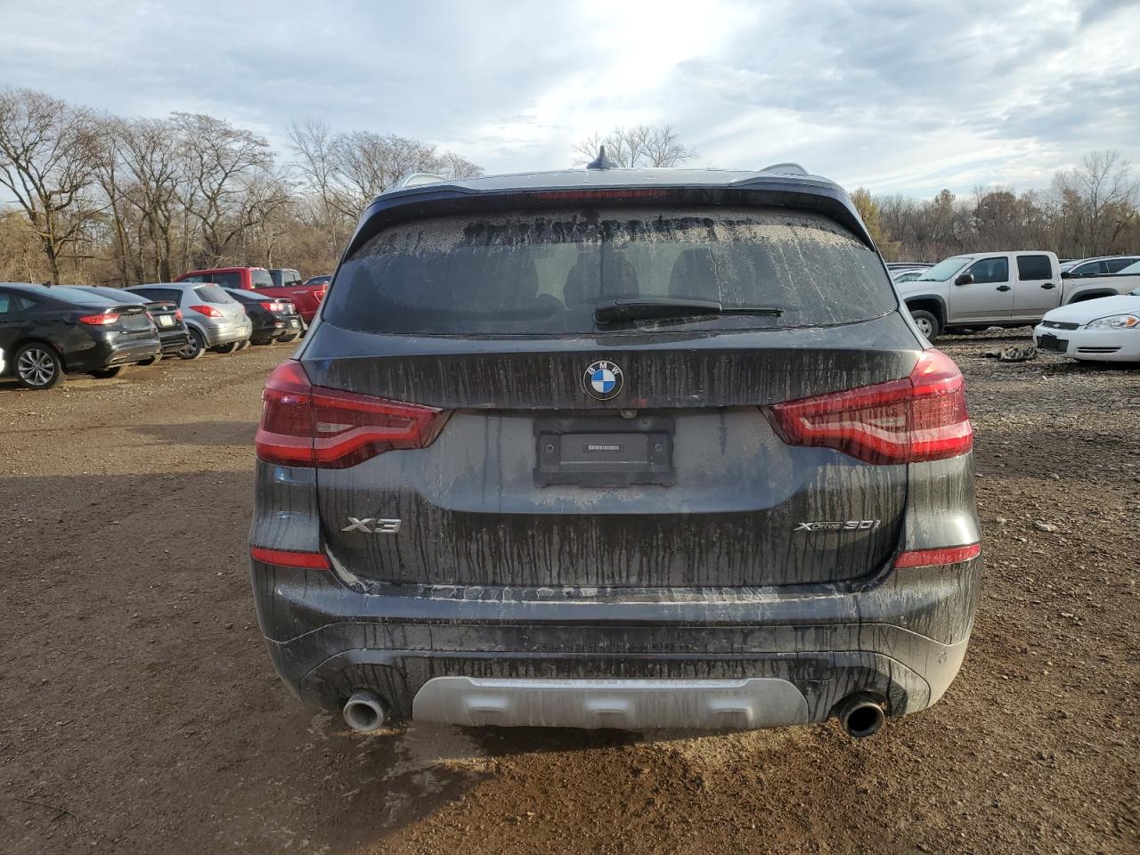 2020 BMW X3 xDrive30I VIN: 5UXTY5C02LLE55810 Lot: 93142525