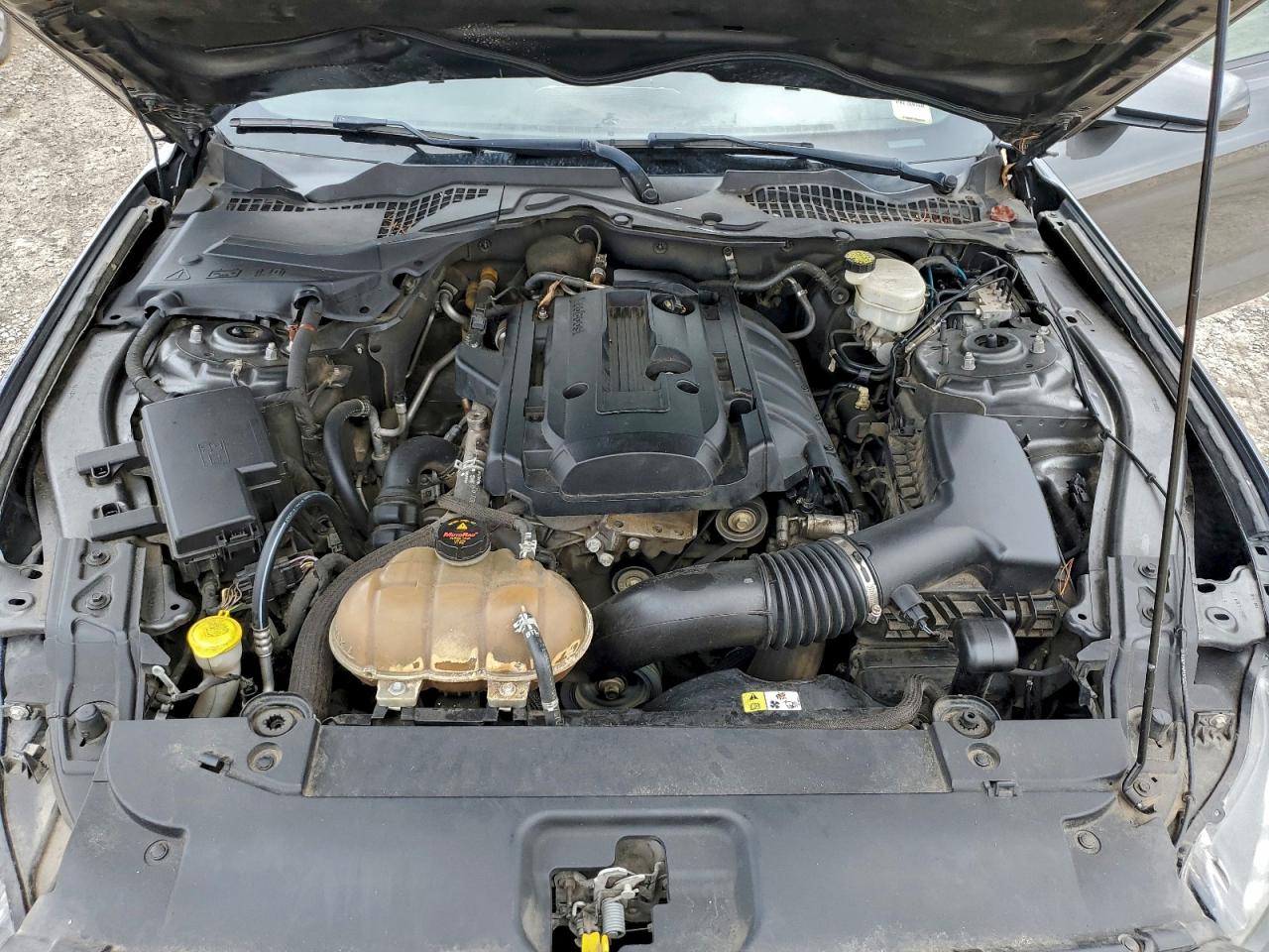 2015 Ford Mustang VIN: 1FA6P8THXF5404043 Lot: 94025245