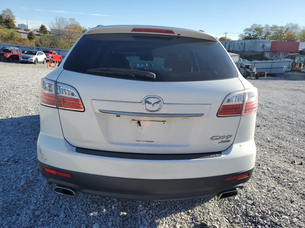 2010 Mazda Cx-9 VIN: JM3TB3MA8A0206431 Lot: 91373345