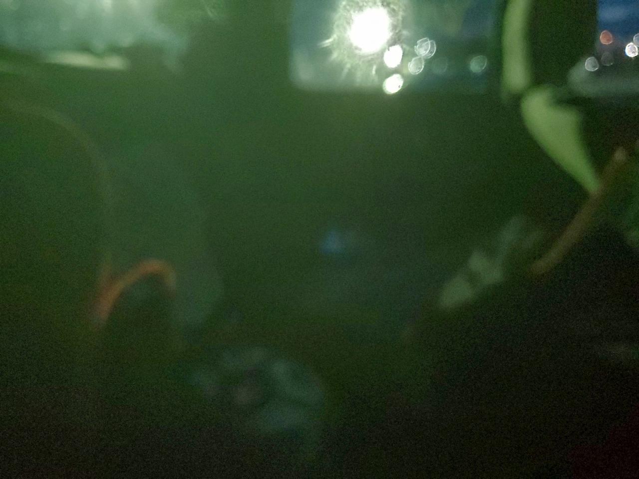 2009 Ford F150 Supercrew VIN: 1FTRW12809FA75368 Lot: 94587115