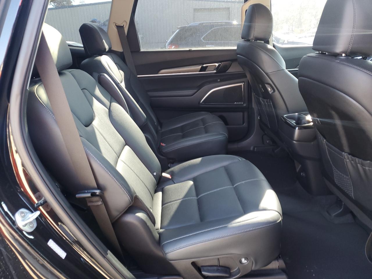 2020 Kia Telluride Sx VIN: 5XYP5DHC6LG078061 Lot: 92623275