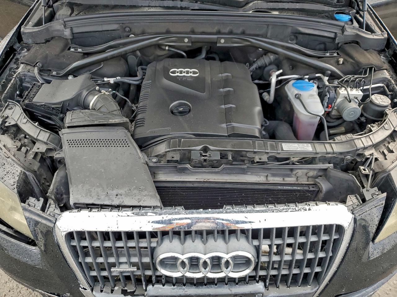 2011 Audi Q5 Premium Plus VIN: WA1LFAFP3BA016092 Lot: 93741825