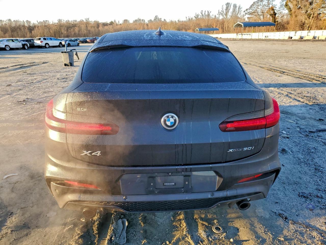 2019 BMW X4 xDrive30I VIN: 5UXUJ3C59KLG52531 Lot: 94097635