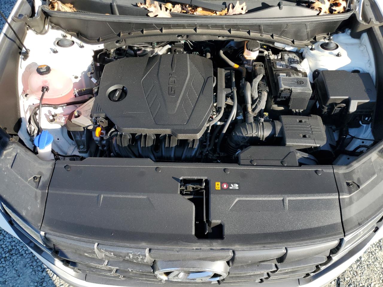 2024 Hyundai Tucson Sel VIN: 5NMJB3DE7RH387858 Lot: 93026335