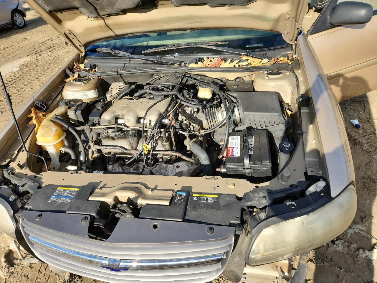 2002 Chevrolet Malibu VIN: 1G1ND52J12M697230 Lot: 91214445