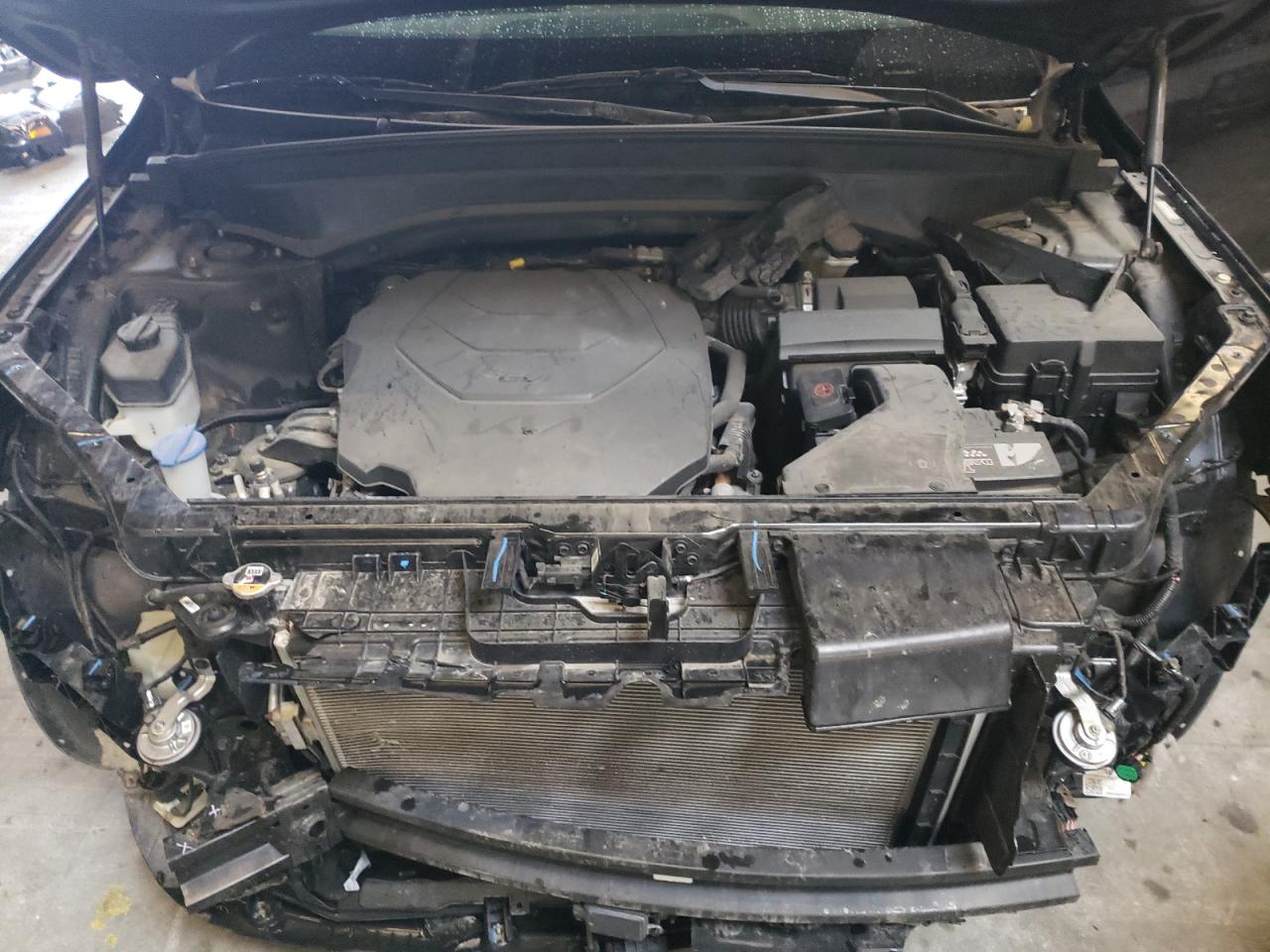 2021 Kia Telluride Lx VIN: 5XYP24HC1MG097661 Lot: 93237245