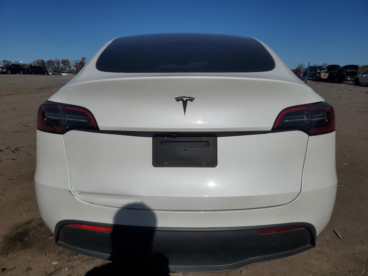 2025 Tesla Model Y VIN: 7SAYGDED2SF248713 Lot: 91629255