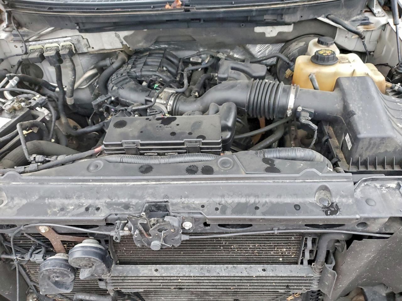 2012 Ford F150 VIN: 1FTMF1CM5CFB69291 Lot: 93279955