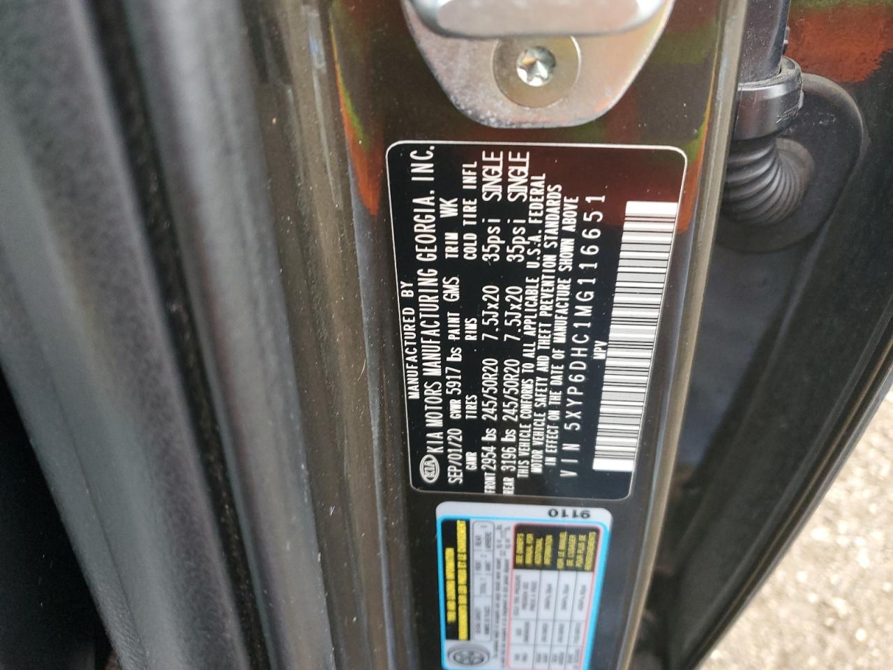 2021 Kia Telluride S VIN: 5XYP6DHC1MG116651 Lot: 93543825