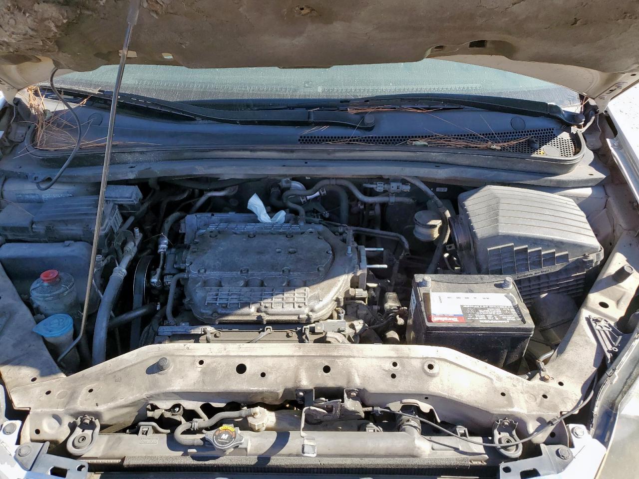 2005 Honda Odyssey Touring VIN: 5FNRL38825B066603 Lot: 92495595