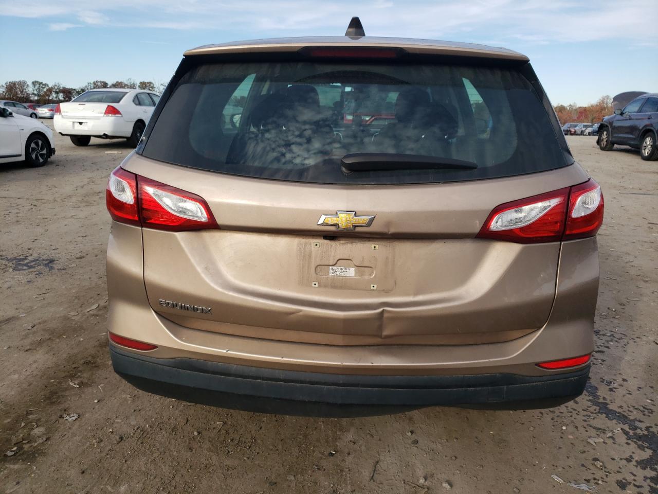 2019 Chevrolet Equinox Ls VIN: 2GNAXHEV0K6253632 Lot: 91502735