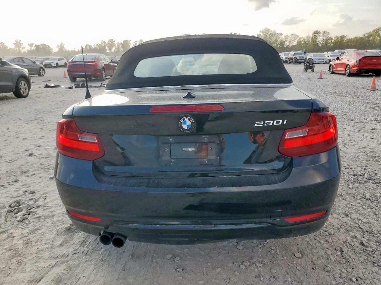 2017 BMW 230I VIN: WBA2K9C3XHV950617 Lot: 93519685