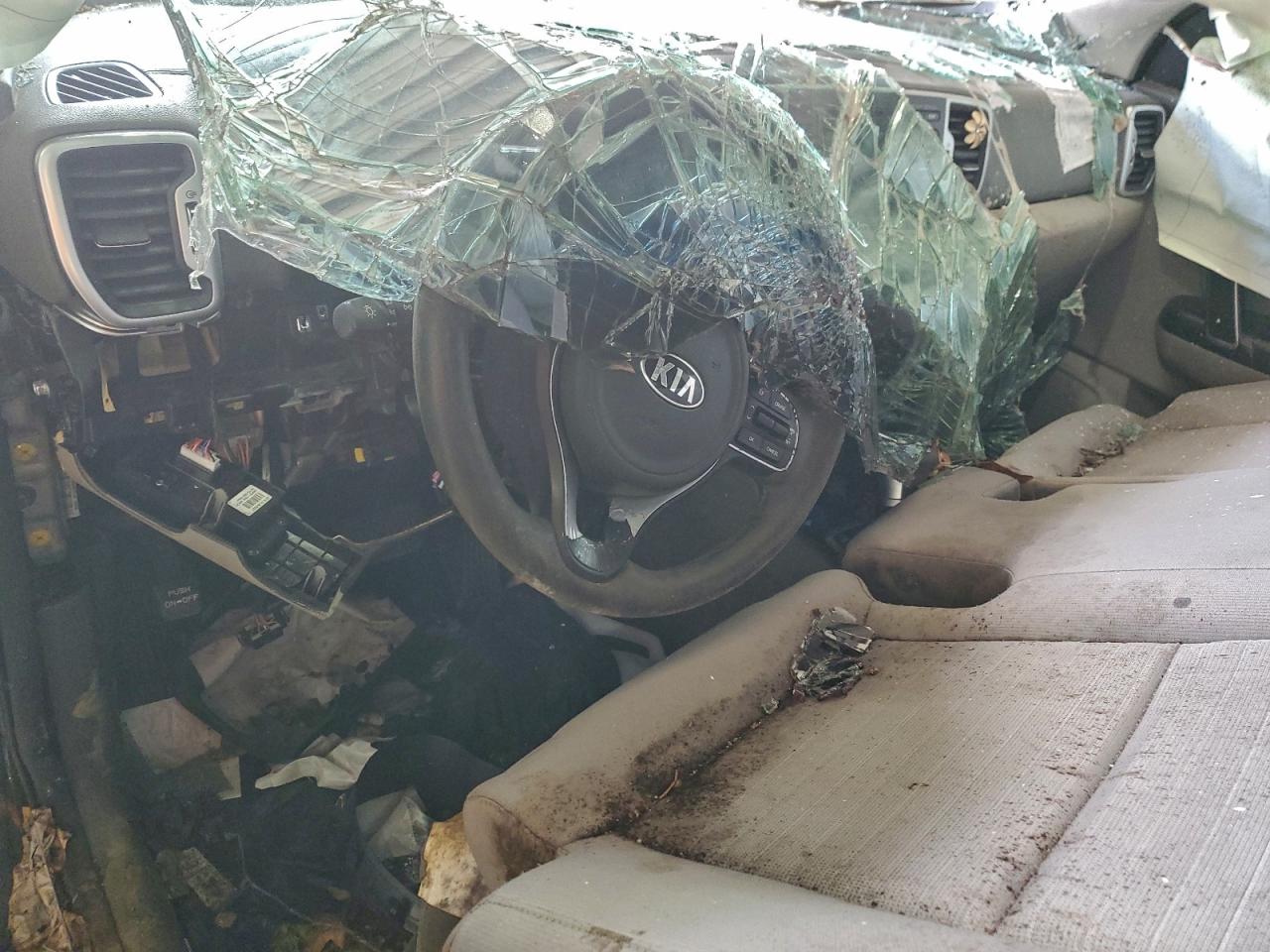 2017 Kia Sportage Lx VIN: KNDPM3AC6H7244882 Lot: 94437615