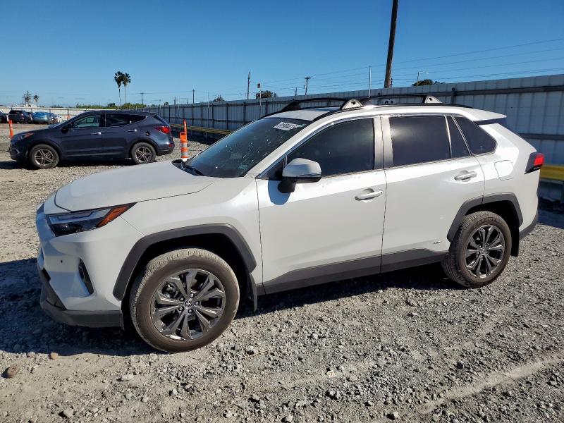 TOYOTA RAV4 XLE P 2024
